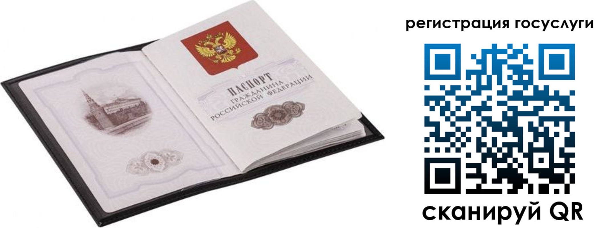 временная регистрация поиск в Светогорске